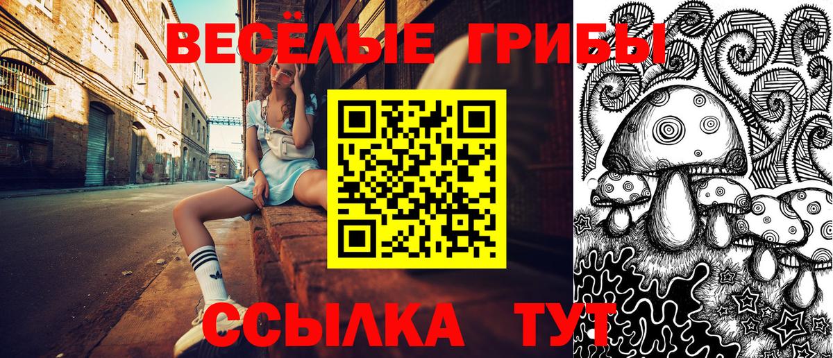 Галлюциногенные грибы Psilocybine cubensis  Псилоцибиновые грибы Psilocybe  Вход с VPN  Элиста 
